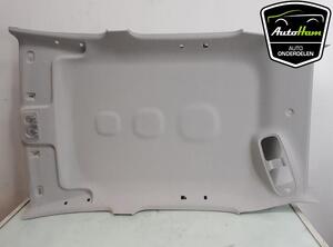 Front Interior Roof Trim Panel FIAT PANDA (312_, 319_), FIAT PANDA VAN (312_, 519_)