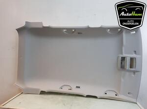 Front Interior Roof Trim Panel SKODA FABIA III Estate (NJ5)