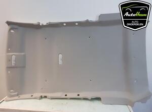 Front Interior Roof Trim Panel DACIA DUSTER (HS_)