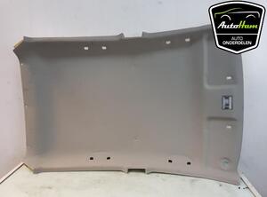 Front Interior Roof Trim Panel CHEVROLET SPARK (M300)