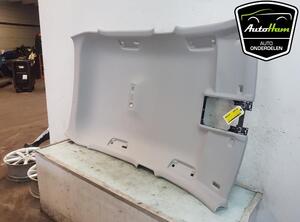 Front Interior Roof Trim Panel SKODA FABIA IV (PJ3)