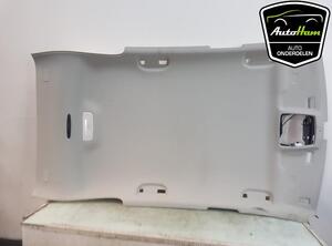 Front Interior Roof Trim Panel MERCEDES-BENZ B-CLASS (W246, W242), MERCEDES-BENZ CLS (C257), MERCEDES-BENZ A-CLASS (W176)