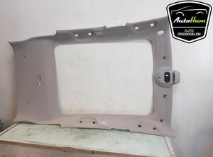 Front Interior Roof Trim Panel PEUGEOT 3008 MPV (0U_)