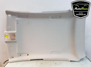 Front Interior Roof Trim Panel RENAULT CLIO V (B7_)