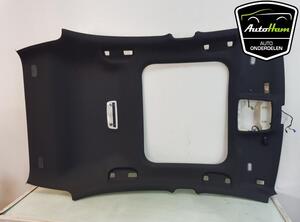 Front Interior Roof Trim Panel MERCEDES-BENZ A-CLASS (W176)