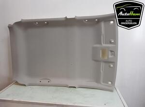 Front Interior Roof Trim Panel SUZUKI CELERIO (LF)