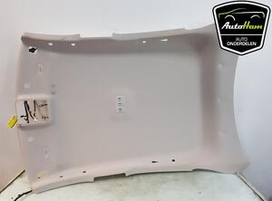 Front Interior Roof Trim Panel RENAULT ARKANA I (LCM_, LDN_)