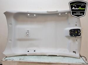 Front Interior Roof Trim Panel CITROËN C4 III (BA_, BB_, BC_)