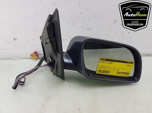 Wing (Door) Mirror VW POLO (9N_)