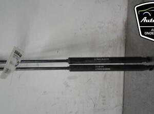 Gas Spring FIAT GRANDE PUNTO (199_), FIAT PUNTO (199_), FIAT PUNTO EVO (199_), ABARTH GRANDE PUNTO