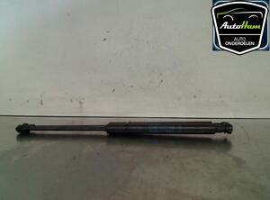 Bootlid (Tailgate) Gas Strut Spring RENAULT TWINGO II (CN0_)