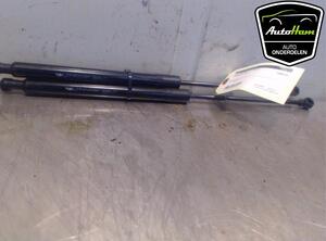 Bootlid (Tailgate) Gas Strut Spring CITROËN C3 II (SC_), CITROËN DS3