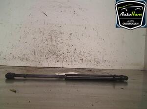 Bootlid (Tailgate) Gas Strut Spring RENAULT MEGANE II Coupé-Cabriolet (EM0/1_)