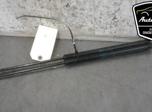 Bootlid (Tailgate) Gas Strut Spring SEAT ALTEA (5P1), SEAT ALTEA XL (5P5, 5P8), SEAT TOLEDO III (5P2)