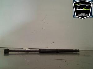 Bootlid (Tailgate) Gas Strut Spring SKODA FABIA II (542)