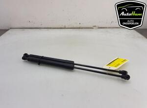 Bootlid (Tailgate) Gas Strut Spring RENAULT CLIO IV Grandtour (KH_)