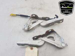 Bonnet Hinge HYUNDAI i10 III (AC3, AI3)