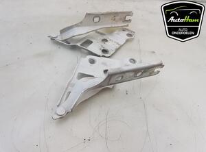 Bonnet Hinge VW CADDY V Box Body/MPV (SBA, SBH)