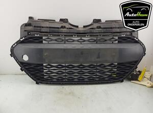 Radiator Grille HYUNDAI i10 II (BA, IA)