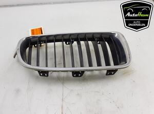 Radiateurgrille BMW 3 (F30, F80)