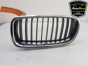 Radiator Grille BMW 3 (F30, F80)