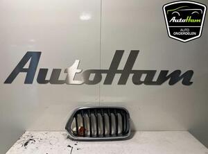 Radiateurgrille BMW X2 (F39)