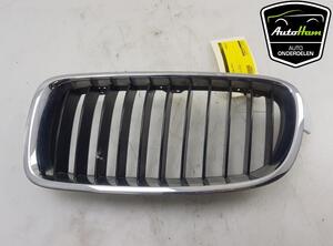 Radiator Grille BMW 3 Touring (F31), BMW 3 (F30, F80)