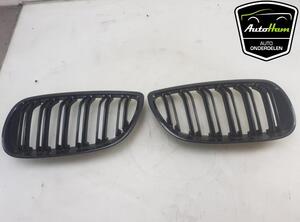 Radiateurgrille BMW 3 Coupe (E92), BMW 3 Touring (E91)