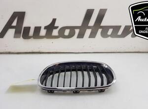 Radiateurgrille BMW 1 (F21)