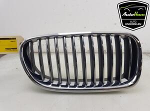 Radiateurgrille BMW 5 (F10)