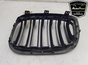 Radiateurgrille BMW X3 (G01, F97)