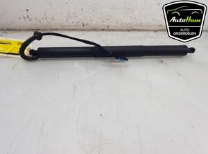 Motor Tailgate BMW X5 (F15, F85)