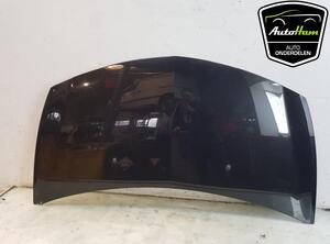 Bumper RENAULT CLIO III (BR0/1, CR0/1)