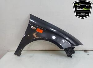 Spatbord SEAT ALTEA (5P1), SEAT ALTEA XL (5P5, 5P8), SEAT TOLEDO III (5P2)