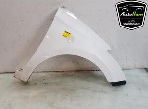 Spatbord HYUNDAI i20 (GB, IB), HYUNDAI i20 II Coupe (GB)