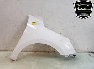 Spatbord OPEL CORSA F (P2JO)