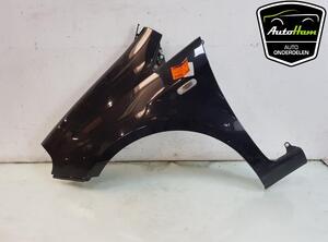 Wing FIAT GRANDE PUNTO (199_), FIAT PUNTO (199_), FIAT PUNTO EVO (199_)