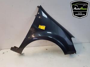 Spatbord RENAULT CLIO III Grandtour (KR0/1_), RENAULT CLIO III (BR0/1, CR0/1), RENAULT CLIO II (BB_, CB_)