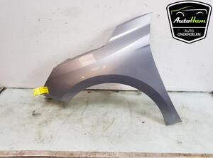 Spatbord OPEL CORSA F (P2JO)