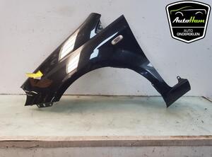 Spatbord FIAT GRANDE PUNTO (199_), FIAT PUNTO EVO (199_), FIAT PUNTO (199_)