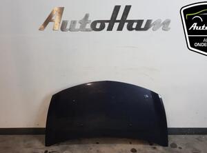 Motorhaube Renault Clio III BR0/1, CR0/1 7751476113 P13697002