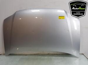 Bonnet VW TOURAN (1T1, 1T2), VW CADDY III Box Body/MPV (2KA, 2KH, 2CA, 2CH), VW TOURAN (1T3)