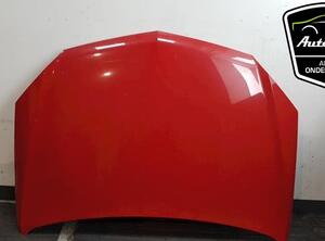 Bonnet OPEL TIGRA TwinTop (X04)