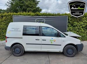 Door VW CADDY III Box Body/MPV (2KA, 2KH, 2CA, 2CH)