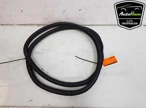 Door Seal VW POLO (AW1, BZ1)