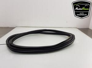 Door Seal VW GOLF VIII (CD1)