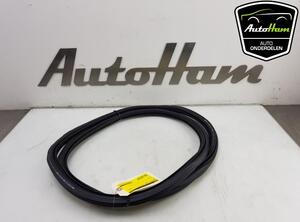 Door Seal AUDI A3 Sportback (8YA)