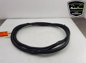 Door Seal AUDI A3 Sportback (8YA)