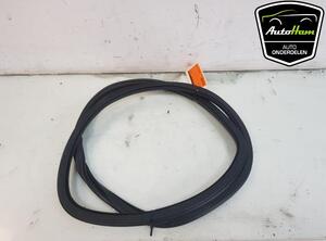 Door Seal VW POLO (AW1, BZ1)