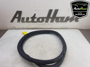 Door Seal AUDI A3 Sportback (8VA, 8VF), AUDI A6 Allroad (4GH, 4GJ, C7)